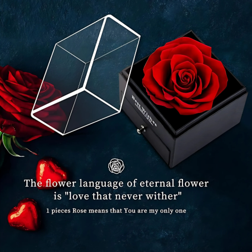 Love Box™ | Imported Eternal Rose Box with Necklace